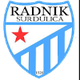 拉德尼克logo