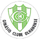奥尔汉内斯logo
