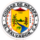 内贾帕logo