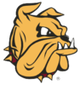 明尼苏达大学德卢斯分校女篮logo