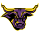 明尼苏达州立女篮logo