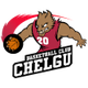 ChelSU科斯坦尼logo