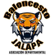 贾拉帕logo