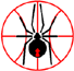 珀斯红背蜘蛛女篮logo