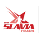 斯拉维亚女篮logo