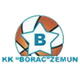 博拉茨泽姆logo