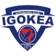 伊戈卡logo
