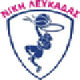 莱夫卡扎女篮logo