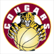 麦金农美洲狮女篮logo