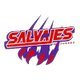 华雷斯萨尔瓦耶斯logo