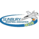 森伯里喷气机女篮logo