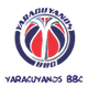 雅拉亚尼亚女篮logo