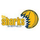 谢菲尔德鲨鱼logo