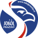 普拉日斯基logo
