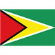 圭亚那沙滩足球队logo
