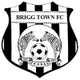 布里格镇logo