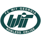 WIT格鲁吉亚logo