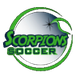 蝎SC女足logo