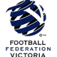 南部足球中心女足logo