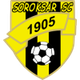 索罗克萨logo