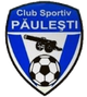 帕勒斯logo