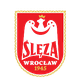 弗罗茨瓦夫女足logo