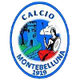 蒙特贝卢纳logo