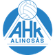 艾林格萨斯女足logo
