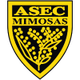 ASEC米莫萨女足logo