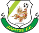 萨姆策女足logo
