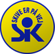 斯基夫logo