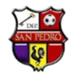 圣佩德罗logo