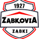 维亚扎布基logo