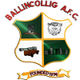 巴林科利格logo