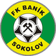 索科洛夫logo