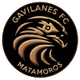 加维拉內斯logo