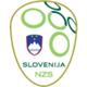 斯洛文尼亚U20logo
