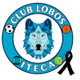 伊泰卡狼logo