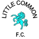 利特卡门logo
