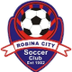 罗宾纳城二队logo