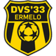 DVS厄梅洛logo