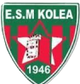 ESM科洛亚logo