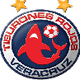 韦拉克鲁斯女足logo