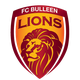 布琳狮子logo