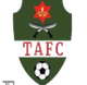 特里布万陆军logo