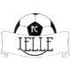 莱尔logo