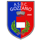 戈扎诺logo