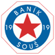巴尼克苏logo