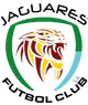 美洲虎logo