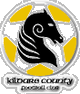 基尔代尔郡logo